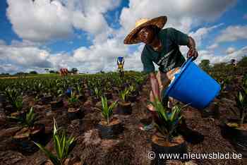 Oost-Vlaanderen stuurt 360.000 euro subsidies naar ontwikkelingslanden