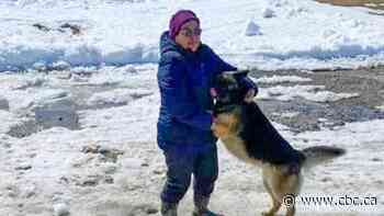 Nunavut dog reunites with family after epic journey across ice and tundra