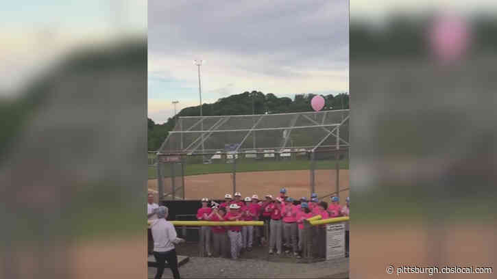 Scott Township Baseball Team Throws Surprise Pink Out Night For Single Mom Battling Breast Cancer