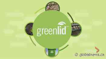 A closer look at composting on National Compost Day