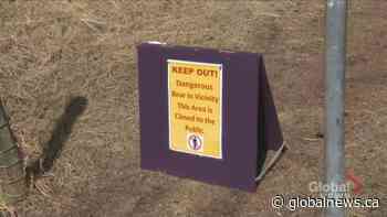 Expert advice on how to remain safe in Alberta bear country