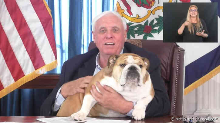‘Get Vaccinated For Babydog’: W.Va. Gov. Jim Justice Has His Dog Advocate For COVID-19 Vaccine