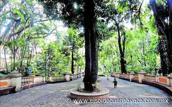 El Melchor Ocampo, pulmón de Cuernavaca - El Sol de Cuernavaca