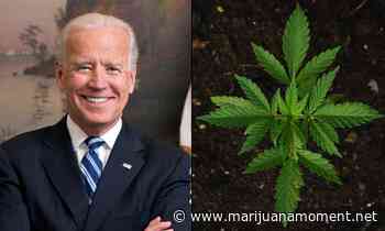 Biden Budget Keeps Medical Marijuana Protections But Would Block DC From Legalizing Recreational Sales - Marijuana Moment