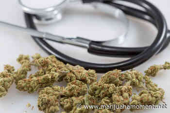 Up Next Louisiana Senate Approves Smokable Medical Marijuana Bill - Marijuana Moment