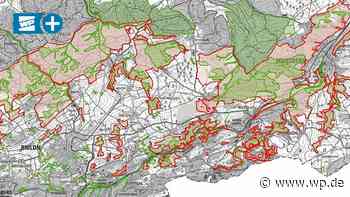 VSG Brilon-Marsberg: Verfahren nicht gesetzeskonform? - Westfalenpost