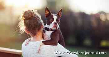 Pet Product Subscription Service Halts Deliveries After Customer Says Chews Killed Her Dog
