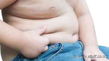 Fears junk food regulation chilled by free trade agreements - Stuff.co.nz