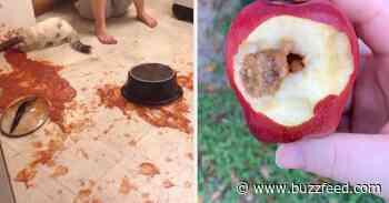 31 Food Fails That Spoiled Major Appetites - BuzzFeed