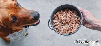 Raw pet food brand, Bella & Duke, raises £7m to fund further growth - Bdaily