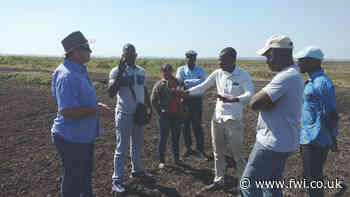 Sustainable food projects in Africa require UK suppliers - FarmersWeekly