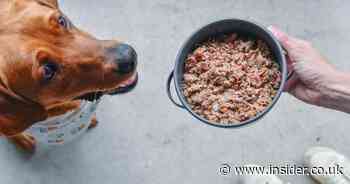 Scottish pet food brand raises £7 million to fund further growth - Insider.co.uk