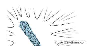 Outdoor Science Activities