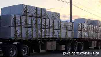 'It's unbelievable': Calgary trucker in shock after $80000 worth of lumber stolen - CTV Toronto