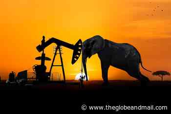 As Calgary's ReconAfrica drills for Namibian oil, a global outcry over endangered elephants grows - The Globe and Mail