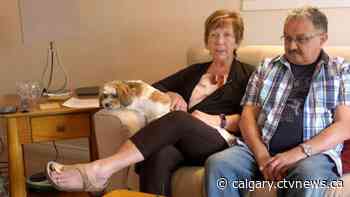 'I want to get this done': Calgary man desperate for double hip surgery calls wait times ridiculous - CTV Toronto