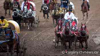 Calgary Stampede unveils 2021 plans, chuckwagons won't roll this year - CTV Toronto