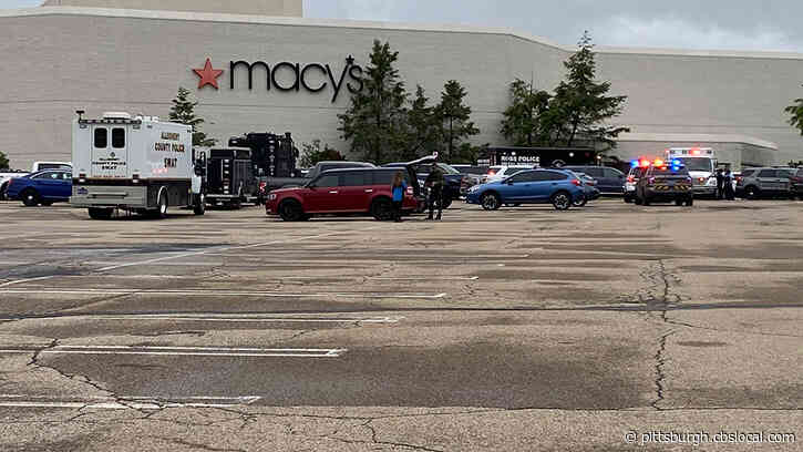 ‘That Wasn’t Something You’d Expect To See:’ Witnesses Recall Fight And Gunfire At Ross Park Mall