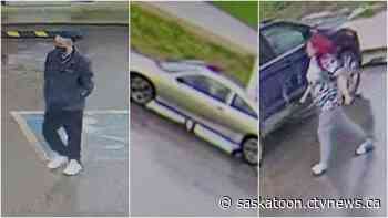 Meadow Lake RCMP looking to confirm safety of woman 'possibly held against her will'