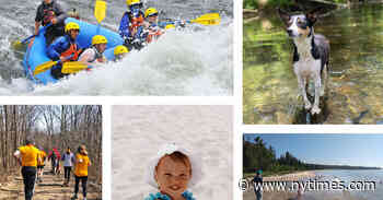 What We are Looking Forward to This Summer