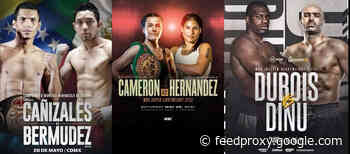 Boxing Results: Bermudez Upsets Canizales for WBA Light Flyweight Title!