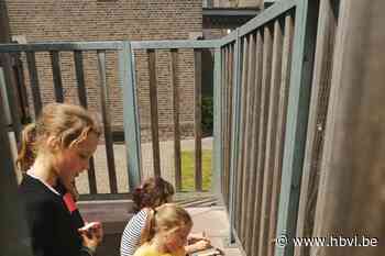 Techniek in basisschool De Boomhut (Bocholt) - Het Belang van Limburg Mobile - Het Belang van Limburg