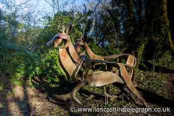 Sculpture trail in Ribble Valley to feature in short film