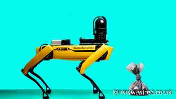 Robots and drones can save us from the dog poodemic