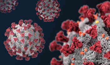Coronavirus, dimesso un 77enne a Solofra - https://www.irpiniatimes.it