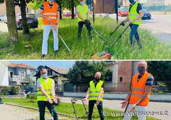 Manutenzione del verde a Samarate, i 5 stelle chiedono un cambio di passo - varesenews.it