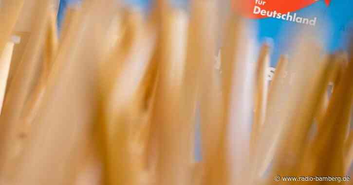 AfD Bayern wählt Boehringer zum Spitzenkandidaten