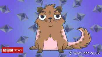 Buying a pink NFT cat was a crypto nightmare