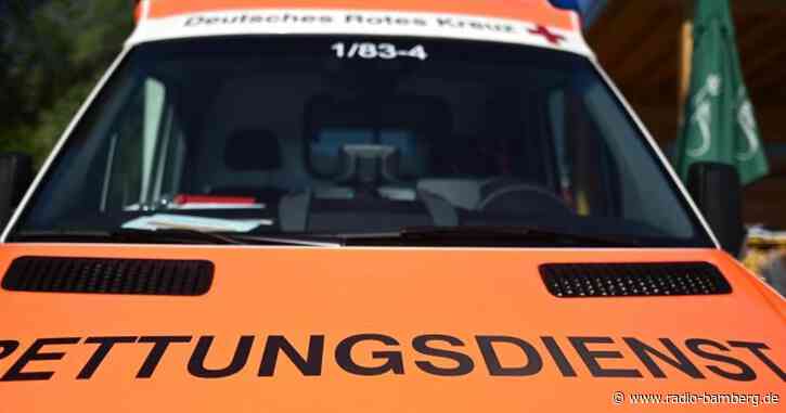 Segelflieger stürzt ab: Pilot verletzt