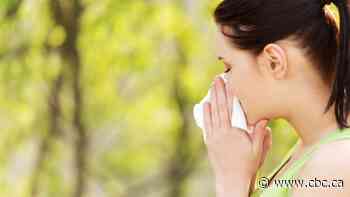 High pollen levels to blame for worse allergy season, experts say