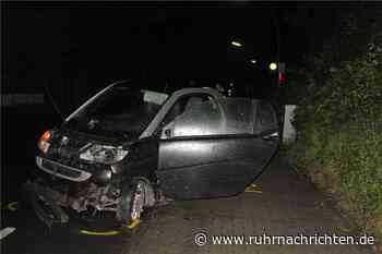 Bekifft in Hecke gelandet: 27-Jähriger aus Ascheberg wird in Krankenhaus eingeliefert - Ruhr Nachrichten