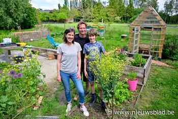 Daar is de lente, daar is de honing (niet)