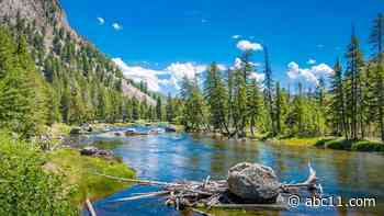Hiker mauled by bear at Yellowstone National Park
