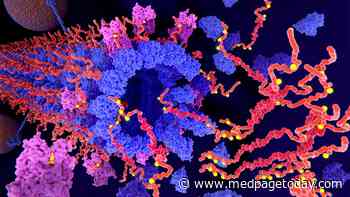Simple Tool Predicts Individual Alzheimer's Risk
