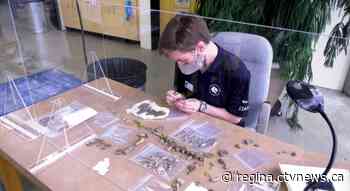 Sask. paleontology student discovers rare champsosaur fossils