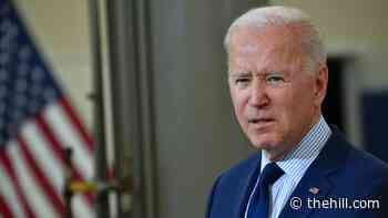 Biden praises military as 'solid spine' of US at Memorial Day service