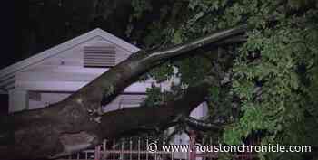 Storm topples tree, knocks out power in Houston, but clear skies ahead - Houston Chronicle