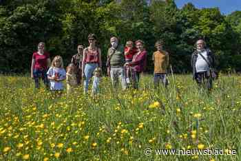 ‘Groen Kruis’ versterkt bufferfunctie idyllisch gebied Ertbrugge