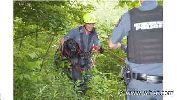 New York State Park Police rescue dog from gorge in Letchworth State Park