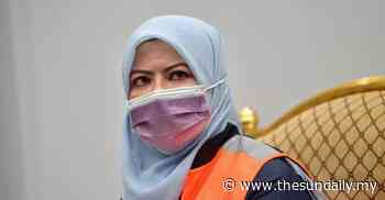 Social work to be elevated as professional service- Rina - The Sun Daily