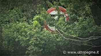 Mancato sfalcio dell'erba: Anas risponde a Ottopagine - Ottopagine