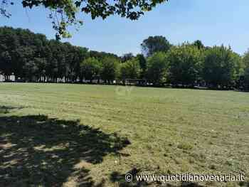 VENARIA - Tra polemiche e critiche, continua il taglio dell'erba in città: gli interventi da lunedì 31 - QV QuotidianoVenariese