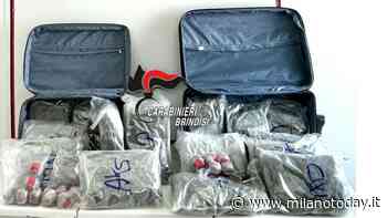 Beccati con quasi 100mila euro di erba e fumo in valigia: arrestati - MilanoToday.it