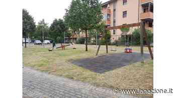 Cascina e il taglio dell’erba "Prima i parchi delle scuole" - LA NAZIONE