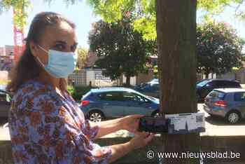 Academie Boom/Puurs brengt origineel afstudeerproject: “Via QR-codes op stap met Dylan”