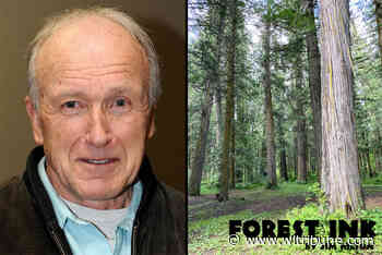 FOREST INK: Planning by design rather than default – Williams Lake Tribune - Williams Lake Tribune